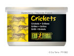 PT1960_Crickets.jpg